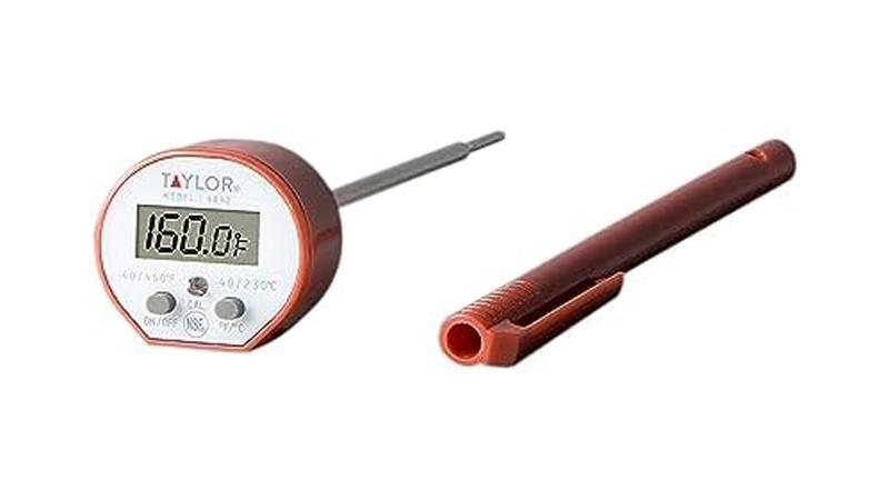 Taylor Waterproof Digital Thermometer: Honest Review